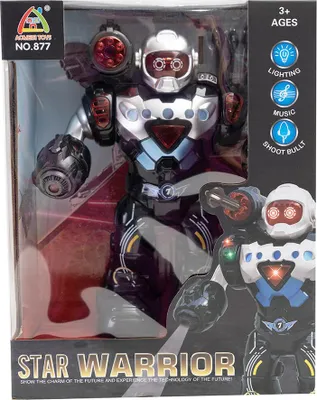 Image de Robot À Piles 0607
