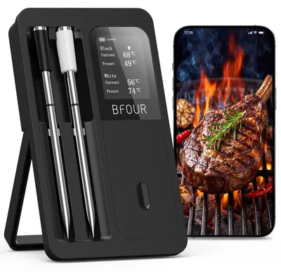 Image de Thermomètre sans fil pour viande - 2 sondes - Application - Alarme pour barbecue et four