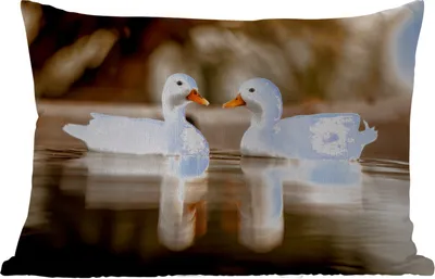 Produktbild von MuchoWow® Outdoor Kissen - Ente - Weiß - Tiere - Wasser - Vogel - Enten - 60x40 cm - Wetterfest - Lounge Kissen - Zierkissen - Kissen für Innenräume
