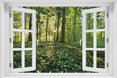 Produktbild von Wallario Wandbild mit Fenster-Illusion: Waldanemonen und Sonnenstrahlen im Wald, Größe: 61 x 91,5 cm, Poster mit rahmenlosen Bildhalter