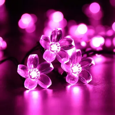 Blüten-Lichterkette Solar, 7m, 50 LED, wasserdicht, Rosa