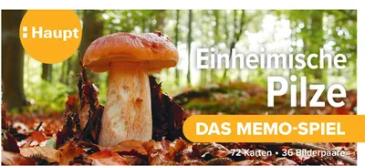 Produktbild von Einheimische Pilze - das Memo-Spiel