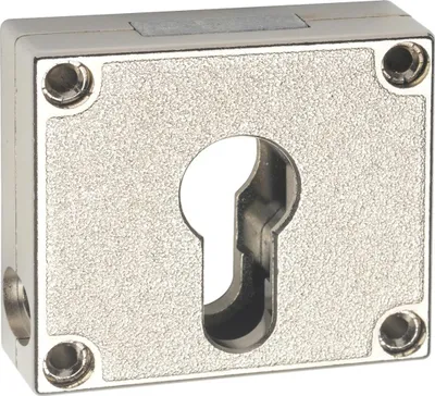 Image de 7445.25002 Serrure à pêne dormant, 25mm LAD pour PZ