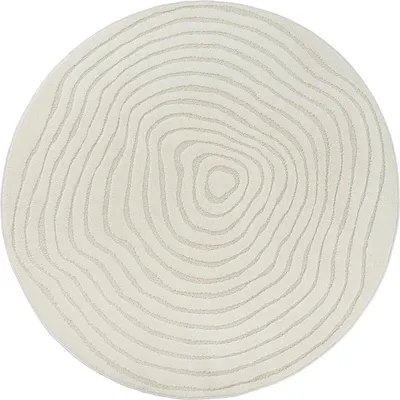 A round rug with a concentric ring pattern.