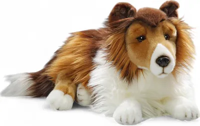 A plush toy dog lying down on a white background.