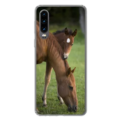 Produktbild von MuchoWow® Handyhülle Schutzhülle Hülle für Huawei P30 Pferde - Gras - Porträt Silikon Softcase Handy Hülle - Kartenbesitzer