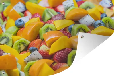Produktbild von MuchoWow® 60x40 cm Outdoor-Poster Gartendeko Sichtschutz Garten Poster für den Garten  Obst - Salat - Farben