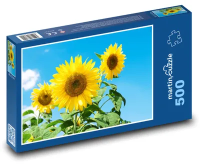 Produktbild von Puzzle 500 Schönheit der Sonnenblumen im Sommer - martinpuzzle