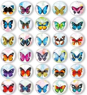 Produktbild von Magnetische Decorationssets für Küchen, Schule und Büro, Magnetbögen für Kühlschränke, weißbordartige Magnetbögen, Geschenkidee für Erwachsene und Kinder