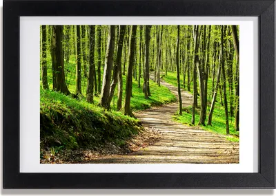 Produktbild von Bild 30x20 MDF-Rahmen, Wandkunst Der Weg in den Wald