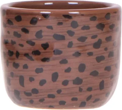 Produktbild von Kolibri Home | Leoparden-Ziertopf - Ø6cm