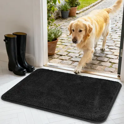 Productafbeelding van Deurmat 40x60 cm, geschikt voor binnen en buiten, antislip, zwart