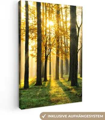 Produktbild von MuchoWow® - Leinwandbilder - Wald - Sonne - Bäume - Gras - Landschaft - Natur, Wandbild, Wanddeko Bilder Wohnzimmer, 80x120cm