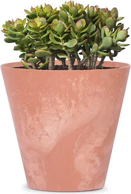 Immagine prodotto di Vaso da fiori in cemento TUBUS DTUB250E ⌀ 25cm terracotta