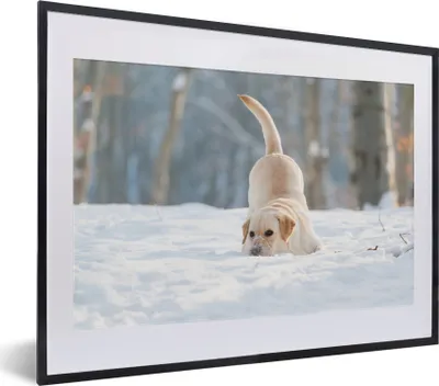 Produktbild von MuchoWow® Gerahmtes Poster Blick auf einen Labradorhund, der im Schnee spielt 40x30 cm - Poster mit Schwarzem Bilderrahmen Wandposter Rahmen Foto Bilder - Bilderrahmen - Poster im Rahmen