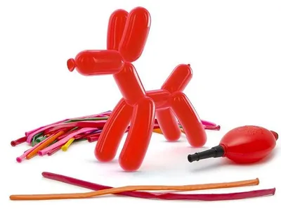 Produktbild von Family Pound – Modellierballons – Ballontierherstellung – mit Pumpe – 20 Stück – Kinderparty