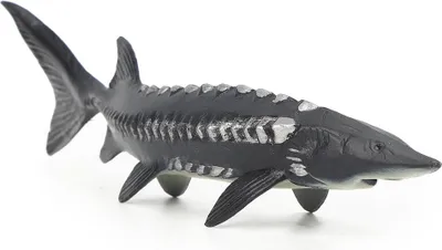 Immagine prodotto di Modello di pesce finto simulato Giocattolo artistico di storione realistico per l'arredamento della casa (M -1528)