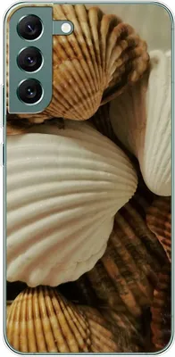 Produktbild von König Design Hülle kompatibel mit Samsung Galaxy S22 Plus 5G Kunststoff Soft Handyhülle - Handy Case Muscheln