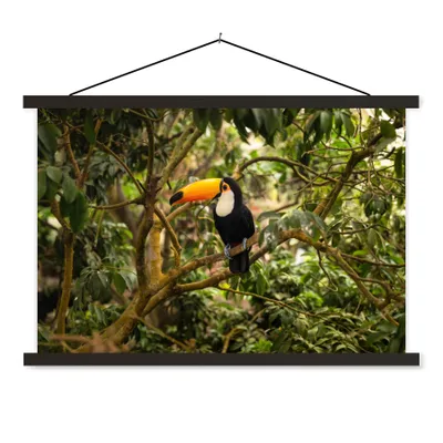 Produktbild von MuchoWow® Textilposter Vogel - Tukan - Dschungel - Natur - Tropisch 150x100 cm mit schwarzem Rahmen - Schlafzimmer