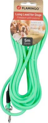 Image de Laisse d'entraînement et de traction Flamingo Caspar vert menthe, longueur : 5 m