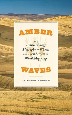 Obrázok produktu pre Amber Waves