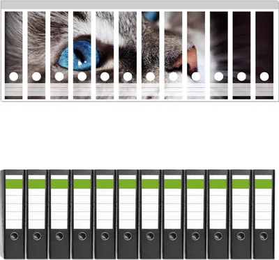 Produktbild von Wallario 12 Stück breite Ordner inkl. Klebeetiketten mit Motive Katze mit strahlend blauen Augen -  Set mit Rückenschildern / Ordnerrücken Stickern