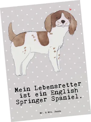 Produktbild von Mr. & Mrs. Panda Postkarte English Springer Spaniel Lebensretter - Grau Pastell - Geschenk, Postkarten, Grußkarte, bildkarte, Fotokarte, Ansichtskarte
