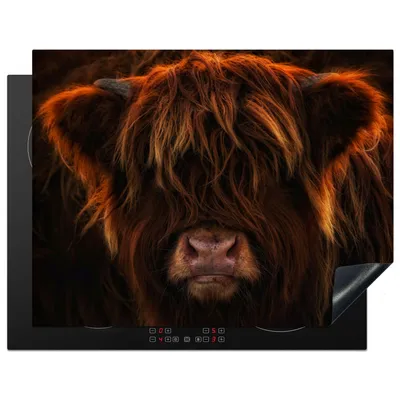 Produktbild von KitchenYeah© Herdabdeckplatte Schottischer Highlander - Kuh - Porträt - Tiere , 77x59cm, Küche Deko, Glaskeramikkochfeld Herdabdeckung, Abdeckplatte fùr Kochfeld