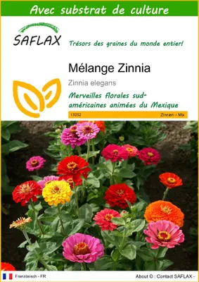 Image de SAFLAX  - Mélange Zinnia - 50 graines - Avec substrat - Zinnia