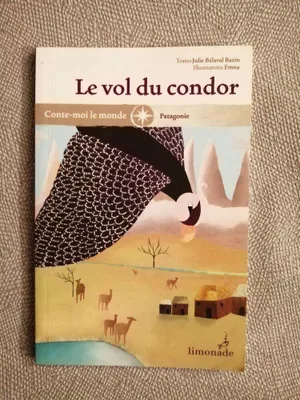 Image de Le vol du condor