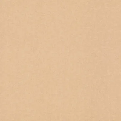 Image de Papier peint intissé 252866 papier peint uni uni 53 x 1005 cm Rasch Bambino XIX marron