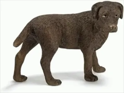 Produktbild von SCHLEICH 16387 - Labrador Hündin