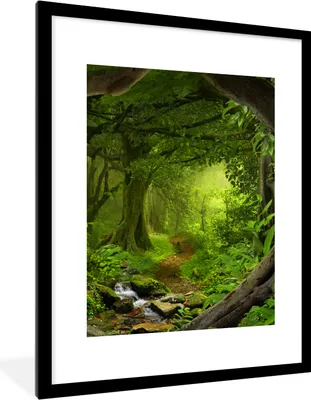 Produktbild von MuchoWow® Gerahmtes Poster Dschungel - Grün - Natur - Tropisch - Pflanzen 60x80 cm - Poster mit Schwarzem Bilderrahmen Wandposter Rahmen Foto Bilder - Wohnzimmer - Dekorationen - Prämie
