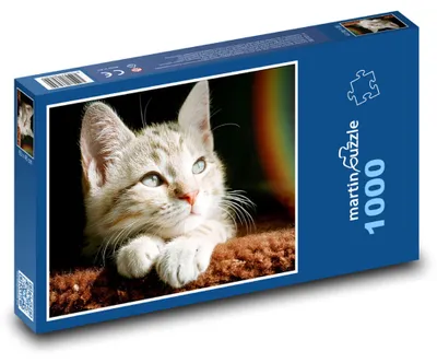 Zdjęcie produktu dla martinpuzzle - Puzzle 1000 - Urocze małe kociątko