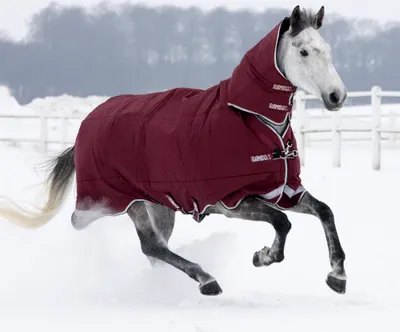 Produktbild von Horseware Rambo All-In-One Turnout Heavy 400g - Burgundy, 125