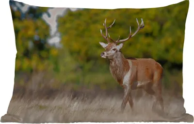 Produktbild von MuchoWow® Outdoor Kissen - Tiere - Hirsche - Geweihe - Waldtiere - Natur - 60x40 cm - Wetterfest - Lounge Kissen - Zierkissen - Kissen für Innenräume