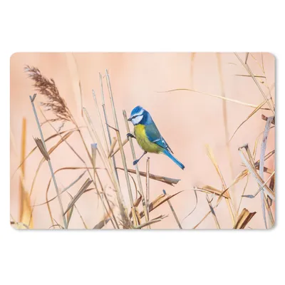 Produktbild von MuchoWow® Mauspad Mousepad Vogel - Blaumeise - Schilf 27x18 cm - Mousepads - Maus Mat - Pad - Mausunterlage - Büroartikel - Desk Matten
