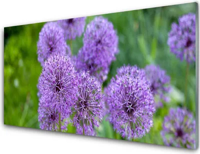 Produktbild von Acrylglasbilder 100x50 Wandbild Druck Blumen Pflanzen