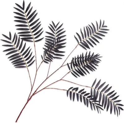 Produktbild von Silk-ka Künstlicher Blumen-Seidenpalmenzweig Schwarz 122 cm