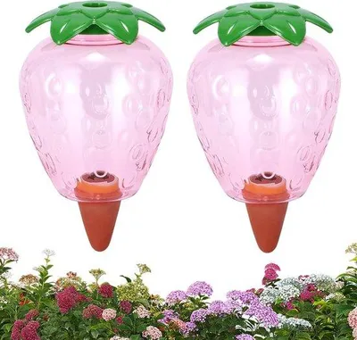 Produktbild von Famanu Automatische Bewässerungsballen 550 ml - Erdbeere, 2 Stück