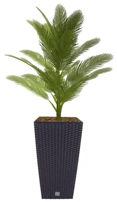 Image de Pot en polyrattan avec insert 50,5cm anthracite Pot de fleurs Pot de plantes