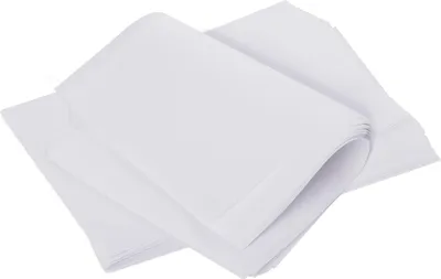 Produktbild von GeeRic Baking Sheet,Premium Baking Paper,100 Stück 20 x 30 cm Küchenpergamentpapier-Backblätter,antihaftbeschichtetes Backpapier zum Backen von Keksen, Brot, Fleisch, Pizza
