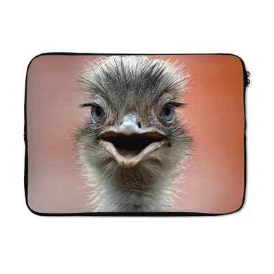 Produktbild von MuchoWow® Laptop Hülle 13 Zoll Nahaufnahme Strauß Laptoptasche - Laptophülle - Sleeve - Rundumschutz