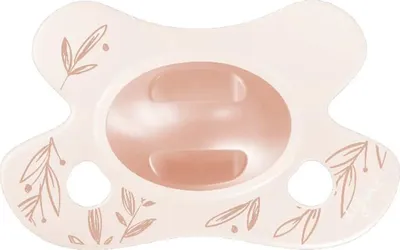 Produktbild von Difrax Natural Schnuller - Newborn - Dusty Pink Leafs | Difrax