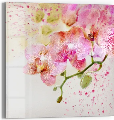 Produktbild von DEQORI Magnettafel Glas 30x30 cm 'Orchideenflüstern' beschreibbar Whiteboard Küche