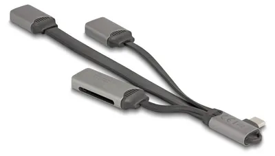 Image de DELOCK DeLOCK 64303 hub d'interface USB 3.2 Gen 1 (3.1 Gen 1) Type-C 5000 Mbit/s Gris