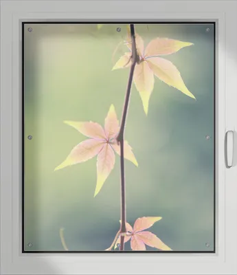 Produktbild von Wallario Lichtschutzbild, Dekorativer Sichtschutz Sonnenschutz 96 x 115 cm mit Motiv: Herbstblume - Verdunklung ohne Bohren