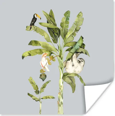 Produktbild von MuchoWow® Poster Palme - Faultier - Tukan 100x100 cm - Babyzimmer