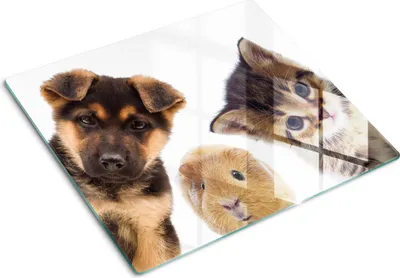 Imagen del producto de Cubierta para placa de cocina – Cubierta para placa de inducción – Placa de vidrio protectora – 60x52 cm – Placas de vidrio protectoras para cocina – Vidrio templado – Mascotas