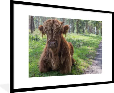 Produktbild von MuchoWow® Gerahmtes Poster Schottischer Highlander - Kröte - Tiere 90x60 cm - Poster mit Schwarzem Bilderrahmen Wandposter Rahmen Foto Bilder - Wanddekoration - Fotos